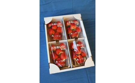 y2026N2ȍ~zJAȖ؎sYƂ@260×SpbNyt[c ʕ  Hi lC  z