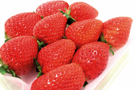 y2026N1{`3{\zIIȖ؎śuXJCx[v1V[g280g×2pbNyt[c ʕ  Hi lC  z