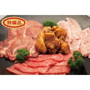 とちぎ産贅沢焼肉セット[肉 お肉 にく 食品 人気 おすすめ ギフト]