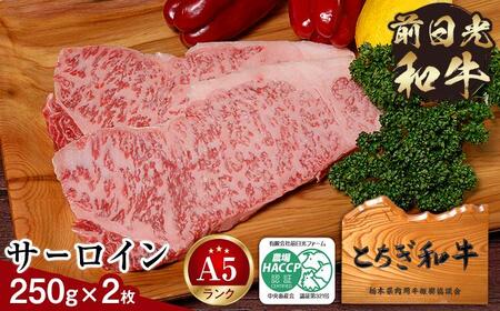 とちぎ和牛・前日光和牛（サーロイン250g 2枚）｜肉 お肉 和牛 最高級 A5ランク A5等級 ステーキ