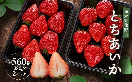 ViȖ،YƂ@280g×2pbN_ʕEt[c   C`S _yzsnFEꌧzy1372413z