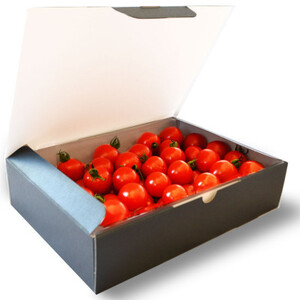 �ȓZ��(�Ƃ܂Ƃ܂�)1kg_��� �~�j�g�}�g �g�}�g _�y�z���s�n��F�����E���ꌧ�z�y1392799�z