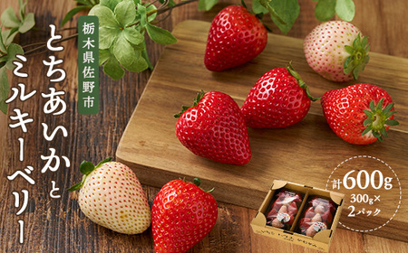 Ȗ؂̔ ~L[x[ Ƃ MIX@300g×2pbN_ʕEt[c   C`S _yzsnFzy1525933z