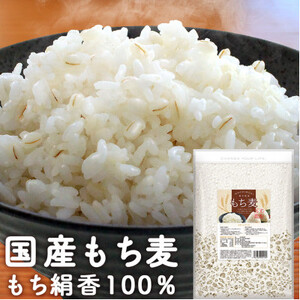栃木県産もち絹香 800g×5袋_  穀物加工品 _【1559028】