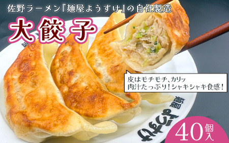 麺屋ようすけ大餃子10個入り×4袋【配送不可地域：離島】【1645303】