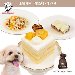 [マンゴーのショートケーキセット]犬のケーキ・ごはん 無添加 手作り Idea dog chef[配送不可地域:離島]