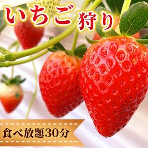 佐野観光農園アグリタウン「いちご狩り」招待券