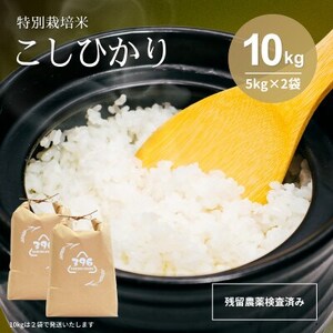 令和7年産 特別栽培米コシヒカリ 10kg(5kg×2袋)