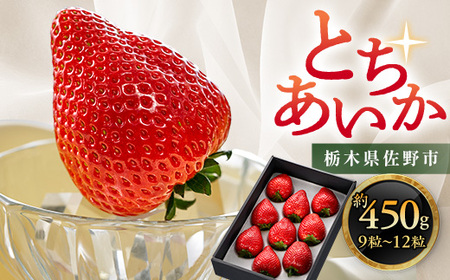 Ȗ،  ViyƂz 9`12 450g_ʕEt[c   C`S _yzsnFzy1258710z