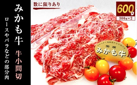 「みかも牛」牛小間切600g(300g×2)【配送不可地域：離島】【1257310】