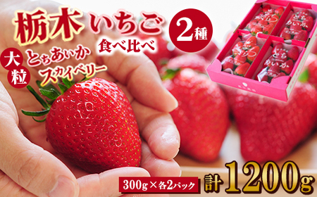 豪華!栃木イチゴ2種(スカイベリー・とちあいか)大粒 食べ比べセット (300g×4パック)_いちご 苺 フルーツ 果物 くだもの スカイベリー とちあいか 栃木 2種 セット 人気 おすすめ 送料無料 ギフト 贈答 食べ比べ_[配送不可地域:離島・沖縄県]