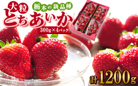 ルビーの輝き!!いちご王国栃木の新品種 大粒『とちあいか』(300g×4パック)_いちご 苺 フルーツ 果物 くだもの とちあいか 栃木 新品種 人気 おすすめ 送料無料 ギフト 贈答 4パック_[配送不可地域:離島]