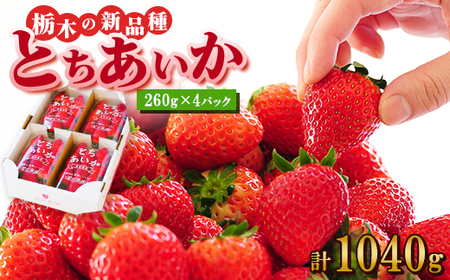 w_xVN!!Ȗ؂̐Vi@wƂx(260g×4pbN)_  t[c ʕ  Ƃ Ȗ Vi lC   Mtg  4pbN_yzsnF