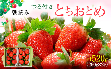 ys\zt ƂƂ 2pbNi2026N2{`2{j  ʕ t[c  C`S   VN  Â [5840-2287]