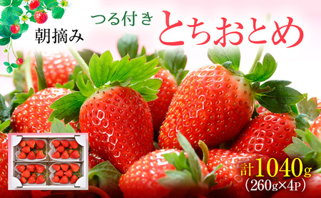 ys\zt ƂƂ 4pbNi2025N12{`2026N1{j  ʕ t[c  C`S   VN  Â [5840-2297]