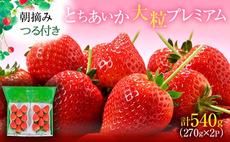 ys\zt Ƃ 嗱v~A 2pbN i2026N2`2{j  ʕ t[c  C`S   VN  Â