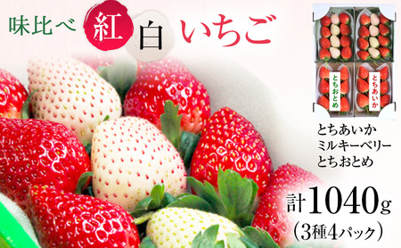 味くらべ紅白いちご 3種 4パック (1月中旬〜下旬発送) いちご 果物 フルーツ 苺 イチゴ くだもの とちあいか ミルキーベリー とちおとめ 朝取り 新鮮 美味しい 甘い