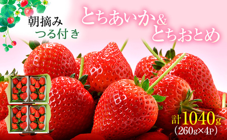 ys\z×Ƃ߃n[tn[t 4pbN i2026N2{`2{j  ʕ t[c  C`S  Ƃ ƂƂ  VN  Â [5840-2330]