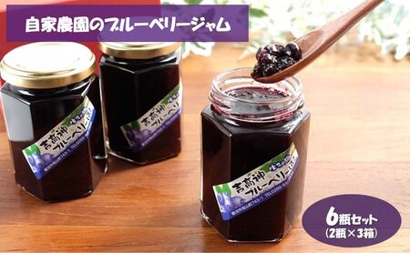 自家農園のブルーベリージャム6瓶セット（2瓶×3箱）加工品 フルーツジャム 太陽 めぐみ 風味 香り 摘み取り グラニュー糖 レモン汁 自然 果実 美味しい 