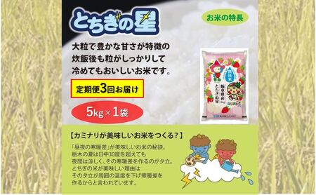 [定期便 3ヶ月]栃木県鹿沼市産 とちぎの星 無洗米 5kg 3回お届け 令和6年産 水稲うるち精米 単一原料米 お米 特A 大粒