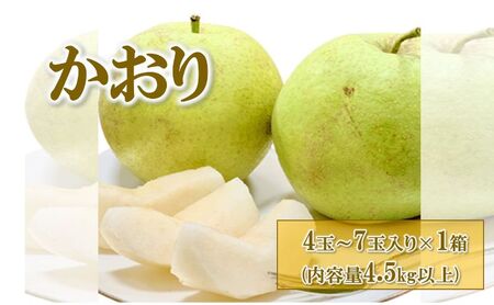[先行予約]梨(かおり) 4玉〜7玉入り×1箱 (4.5kg以上) ※2026年9月上旬〜9月下旬頃に順次発送予定