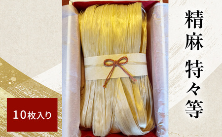  X 10 bBH[  {Y  g`MV i Ȃ₩    i   `s ߓ _   _  ɉh _ [ 