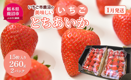 いちご市 鹿沼の 美味しい 「い」「ち」「ご」 とちあいか 15粒入り260g 2パック [発送予定]1月11日〜1月31日 いちご イチゴ 苺 フルーツ 果物 甘い うまい 日本一 品質 ビタミンC 果実 贈答用 鹿沼市 かぬま