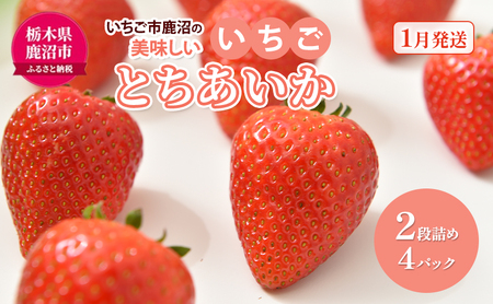 いちご市 鹿沼の 美味しい 「い」「ち」「ご」 とちあいか 2段詰め 4パック [発送予定]1月11日〜1月31日 いちご イチゴ 苺 フルーツ 果物 甘い うまい 日本一 品質 ビタミンC 果実 家庭用 鹿沼市 かぬま