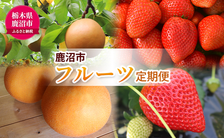 [ 定期便 2回 ] 大玉な梨 にっこり 2玉 約2kg と いちご市 鹿沼の 美味しい 「い」「ち」「ご」 とちあいか 15粒入り260g 2パック のフルーツ 定期便[発送予定] 10月 1月 梨 いちご 甘い 鹿沼市 かぬま