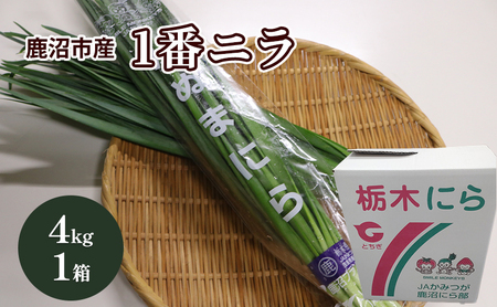 鹿沼市産 にら 1番ニラ 4kg 1箱[発送期日]1月11日〜2月28日 にら ニラ 野菜 うまい 甘い 柔らかい風味 鹿沼市 かぬま