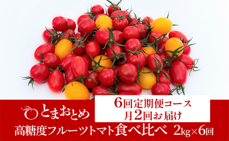 [ 定期便 月2回 計6回 ] 栃木県 鹿沼産 高糖度 フルーツトマト "とまおとめ" 食べ比べ 2kg×6回 1月中旬〜5月下旬 野菜 トマト カキヌマファーム アイコ フルティカ アルル イエローアイコ 濃厚 甘み 旨み 入手困難