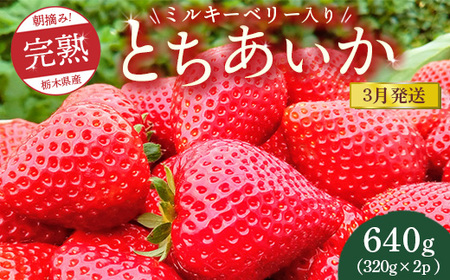 [先行予約][3月発送]朝摘み!完熟とちあいか[ワンポイントにミルキーベリー入り]640g(320g×2p) ※離島への配送不可 ※2026年3月上旬〜3月下旬頃に順次発送予定