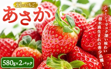 [数量限定]幻のいちごあさか15粒(580g×2パック) | いちご イチゴ 苺 栃木県 果物 フルーツ 新鮮 贈答 ギフト 高級 希少 ※2026年1月中旬〜2月中旬頃に順次発送予定