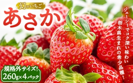 [数量限定]幻のいちごあさか規格外サイズ(260g×4パック) | いちご イチゴ 苺 栃木県 果物 フルーツ 新鮮 贈答 ギフト 高級 希少 ※2026年1月中旬〜2月中旬頃に順次発送予定