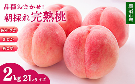 [先行予約][品種おまかせ]鹿沼市産 もも 2Lサイズ(2kg) 