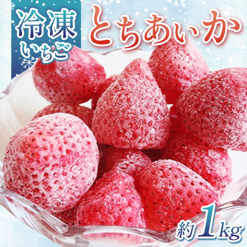 出会いの森いちご園 冷凍いちご (1kg) | いちご イチゴ 苺 栃木県 果物 くだもの フルーツ とちあいか 新鮮 贈答 ギフト デザート スイーツ 冷凍 ※2026年5月〜発送