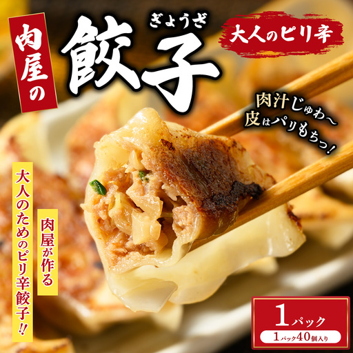 冷凍 生餃子 大人のピリ辛 肉屋の餃子(40個入り) 1パック
