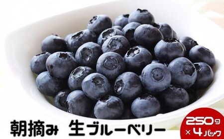 数量限定 50セット 鹿沼 朝摘み 生ブルーベリー 250g × 4パック 1kg