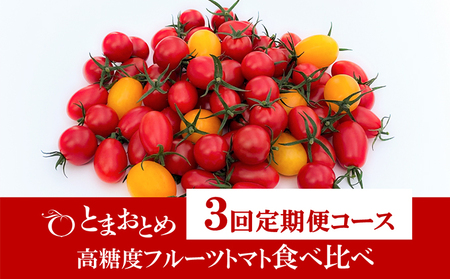 [ 定期便 3回 ] 栃木県 鹿沼産 高糖度 フルーツトマト "とまおとめ" 食べ比べ 1kg×3回 お届け:1月中旬〜5月下旬 トマト カキヌマファーム アイコ フルティカ アルル イエローアイコ 鹿沼市