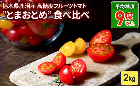 Ȗ، Y x t[cg}g hƂ܂Ƃ߁h Hה 2kg b }g JLk}t@[ ACR teBJ A CG[ACR Z 荢 蕨 Ȗ، s 2025N12