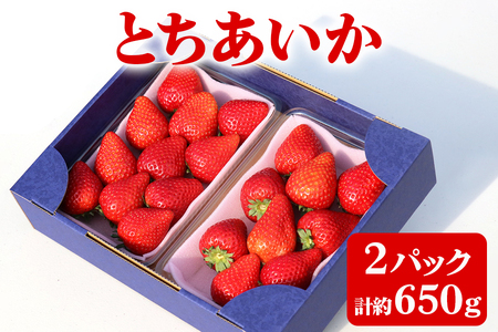 [2025年1月〜発送 数量限定]「とちあいか 2パック」計約650g 贈答用化粧箱入り 約4人分|いちご イチゴ 苺 果物 日光産 栃木県産 フルーツ 期間限定 先行予約 [0225]