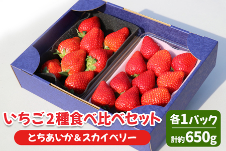 [2025年1月〜発送 数量限定] いちご 2種食べ比べセット「とちあいか&スカイベリー」各1パック 計約650g 贈答用化粧箱入り 約4人分|いちご イチゴ 苺 果物 日光産 栃木県産 フルーツ 期間限定 先行予約 [0227]