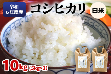 令和6年度産 特別栽培米コシヒカリ 白米10kg(5kg×2袋)|数量限定 お米 2024年度米 精米 白米 国産 日光産 産地直送 [0403]