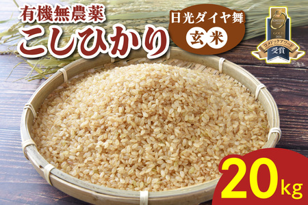 [ʌ^ߘa7Nx] Ђs_C^20kg (5kg×4)tb2025Nx _򌺕 L@͔|Ђ JASL@] I[KjbN RVqJ V  ͂ Y Yn