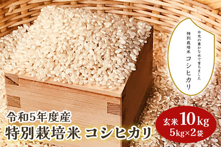 日光市 特別栽培米コシヒカリの返礼品 検索結果 | ふるさと納税サイト