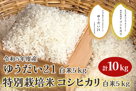 日光市 特別栽培米コシヒカリの返礼品 検索結果 | ふるさと納税サイト