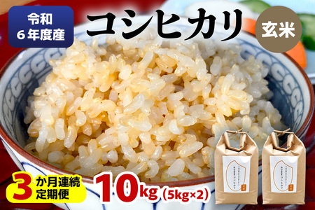 [3か月連続定期便(10kg×3回)] 令和5年度産 特別栽培米 コシヒカリ 玄米10kg(5kg×2袋)|数量限定 お米 こしひかり 国産 日光産 産地直送 [0317]