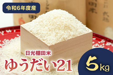 [令和6年度産] 日光棚田米「白米ゆうだい21」5kg|令和6年度米 数量限定 お米 白米 精米 国産 日光産 産地直送 [0364]