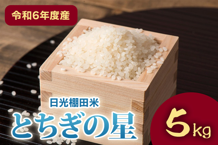 [令和6年度産] 日光棚田米「とちぎの星」5kg|令和6年度米 数量限定 お米 白米 精米 国産 日光産 産地直送 [0365]