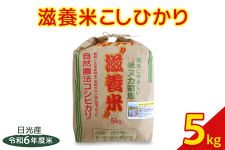 日光産[滋養米こしひかり]5kg|令和6年度米 特別栽培米 減農薬 無化学肥料栽培 コシヒカリ 日光ブランド 精米 お米 ごはん 国産 産地直送 [0378]